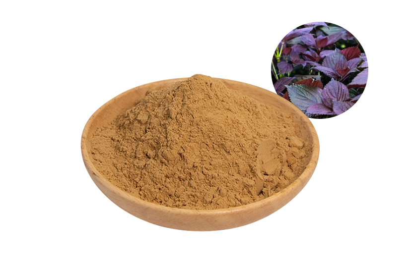 Perilla Extract